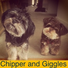 Chipper and Giggles